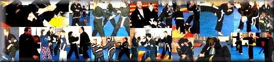 Collage of martial arts training in action